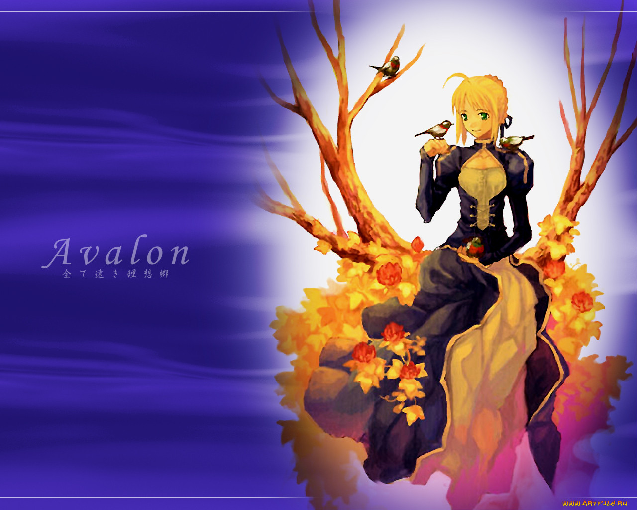 , fate, stay, night